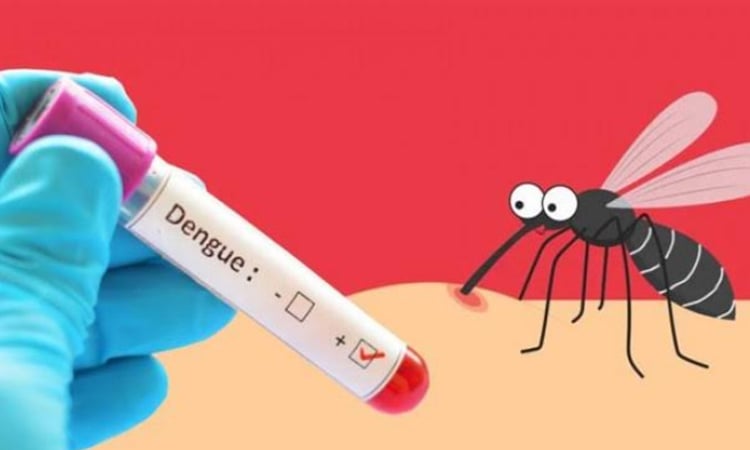 Dengue cases surge in Ctg