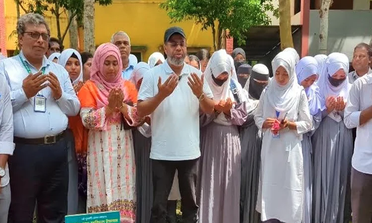 Proper sapling care vital to ensure tree plantation success: Faridul