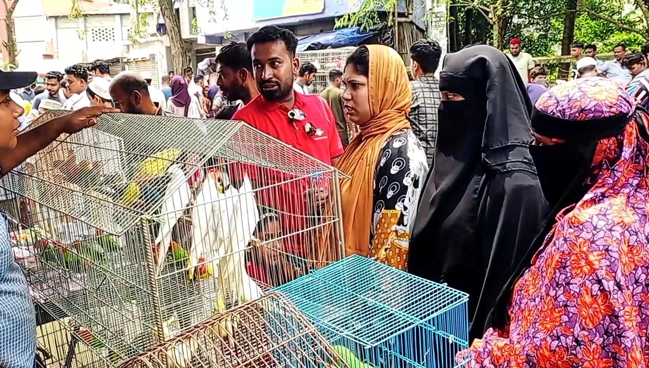 Khulna's Noyabati bird market buzzes with chirping, boosts local economy