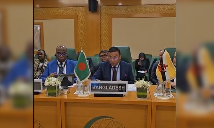 Bangladesh reaffirms Palestine support, seek Rohingya action in OIC