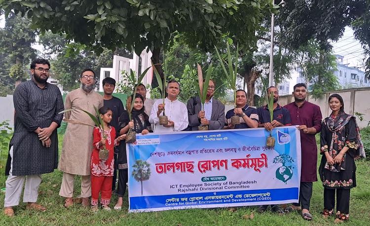 Palm seedlings planted at RUET to prevent lightning strikes