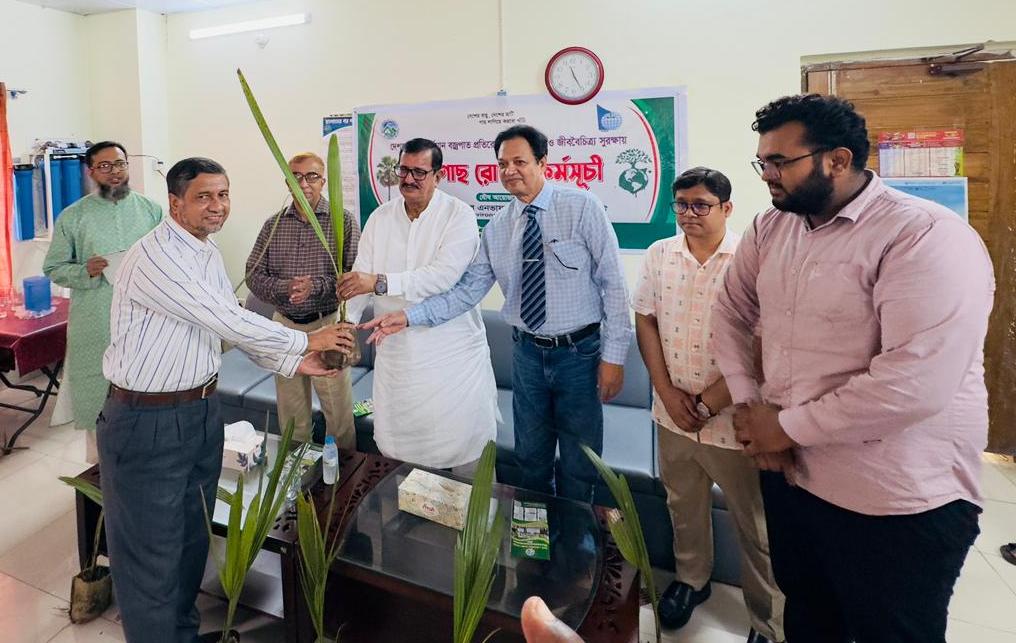 1,000 Palm Tree Sapling Plantation Program inaugurated in Rajshahi 
