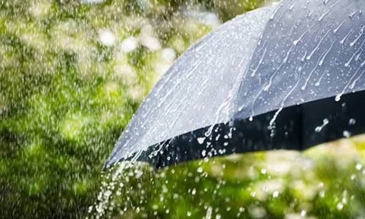 Moderate to heavy rainfall forecast in four divisions