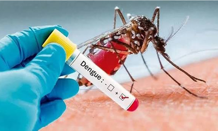 Dengue claims two lives, suspected measles one in Khulna