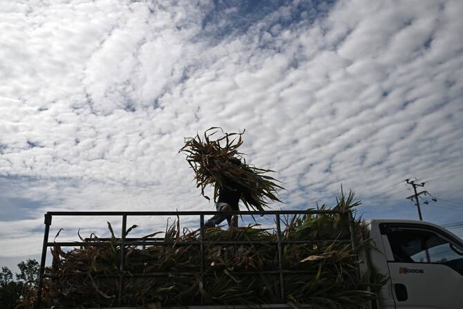 Ecuador declares emergency over El Nino