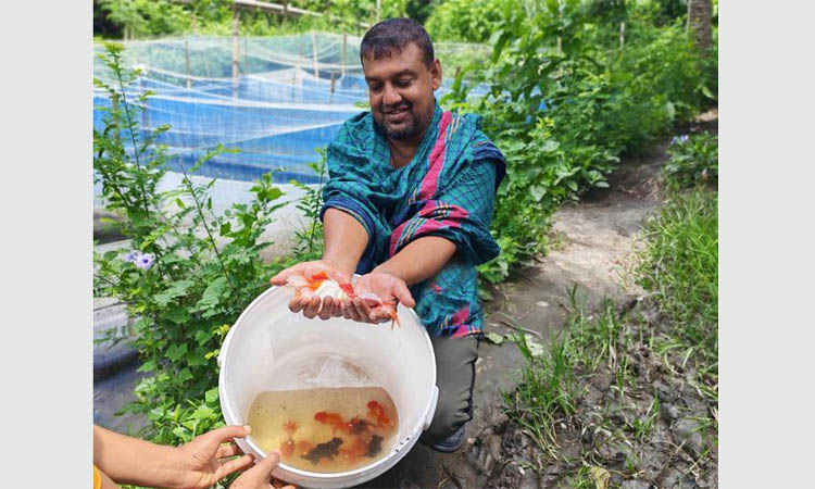 Young entrepreneur sets example of integrated farming in Dumuria