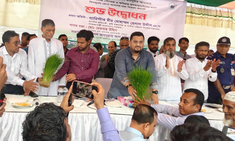 34,000 flood affected farmers in Chattogram get free seeds, seedlings