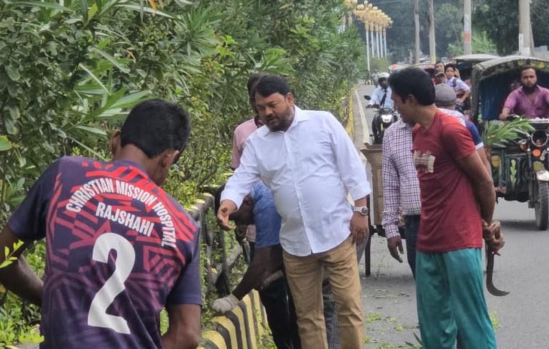 RCC Administrator inspects tree maintenance on city's road dividers