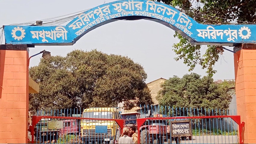 Faridpur Sugar Mill launches sugarcane plantation for 2026-27 season