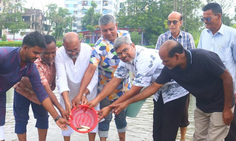 RDA Chairman releases fish on  BNP's founding anniversary