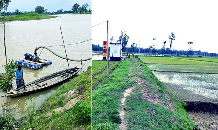 Low-voltage solution in Roumari could revolutionize paddy production 