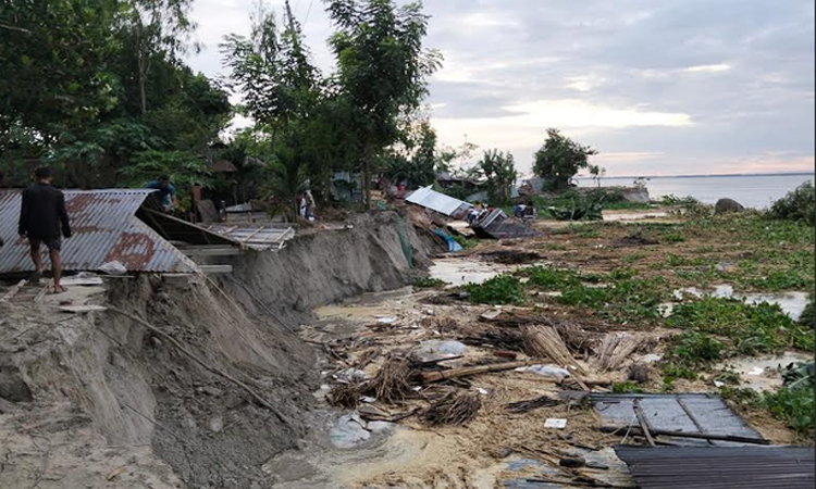 Teesta devours more than 100 houses in Gaibandha