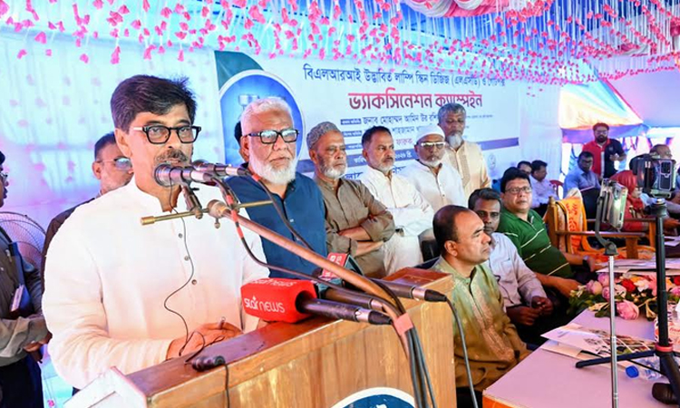Locally developed LSD vaccine to protect cattle: minister