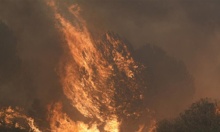 Record European fires burn over 500,000 hectares over summer