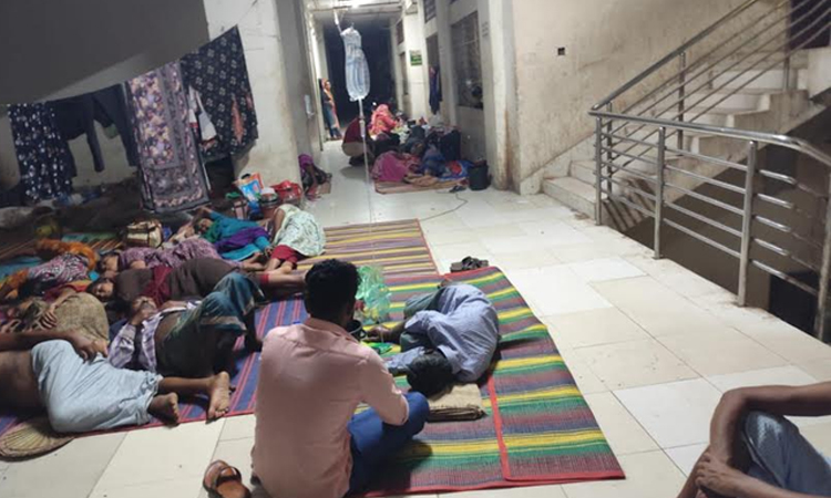 KCC, KDA, BNP carrying out hectic efforts to curb dengue situation in Khulna