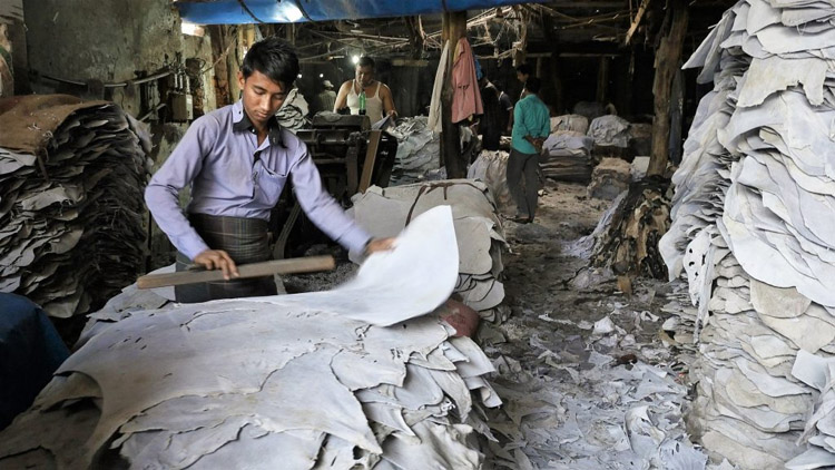 Tannery solid waste should be turned into resource thru compliance: experts