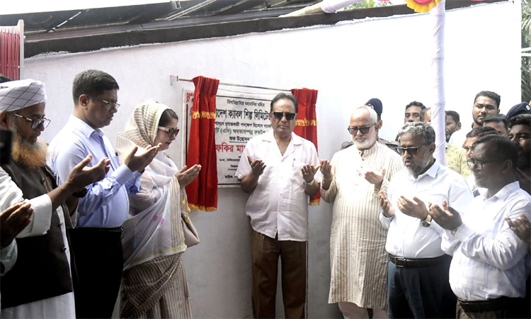 Govt. targets 10,000MW of solar power generation: Faqir Mahbub