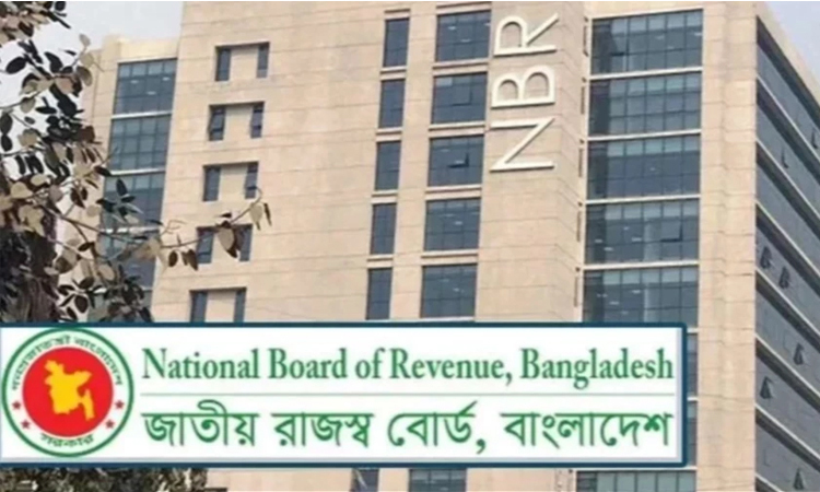 Revenue evasion by online retailer Alpha e Shop detected