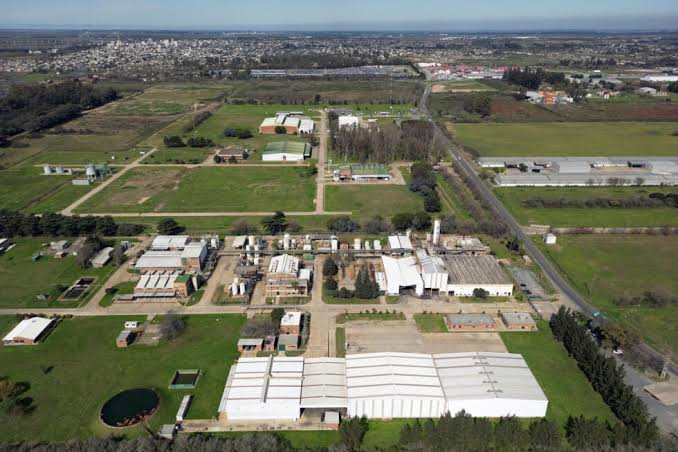 Argentine industry reels from Milei's free-market revolution