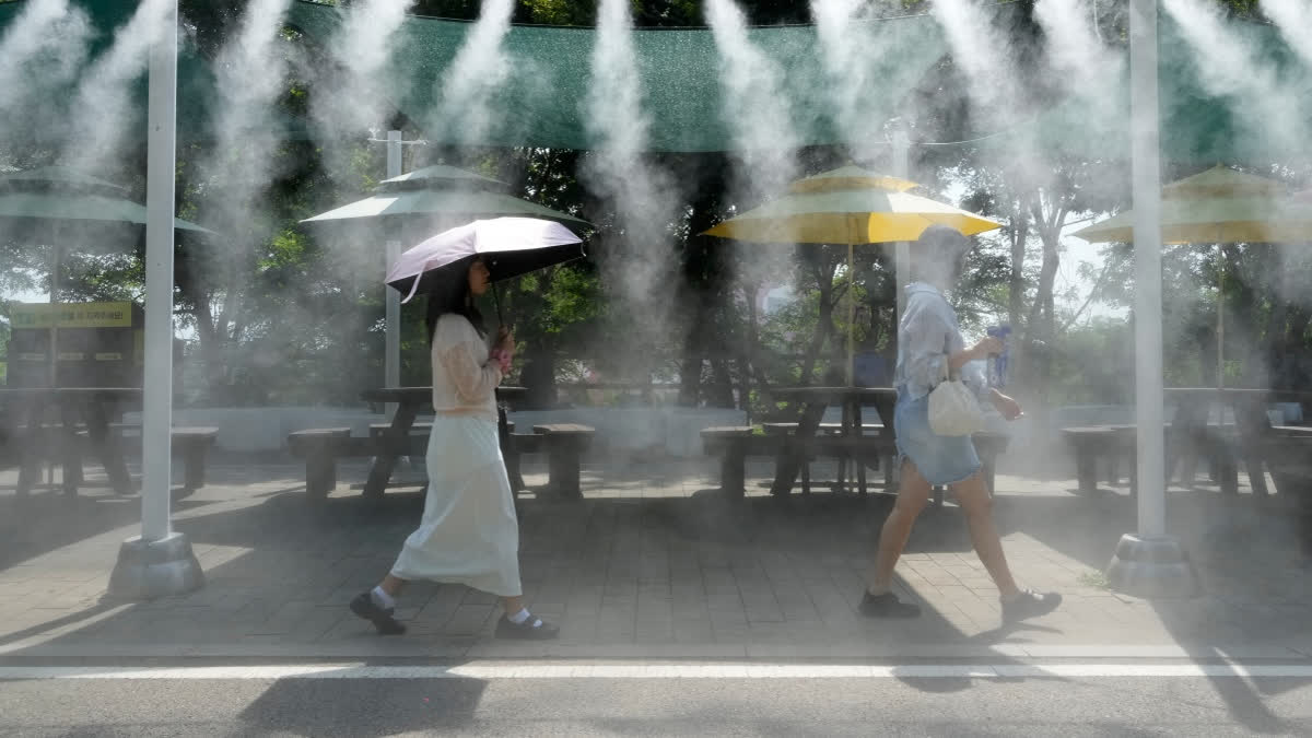 August hottest month ever recorded globally: EU monitor