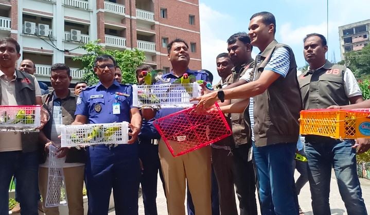 103 parakeets rescued in Bogura