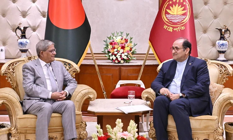 Iranian envoy calls on President