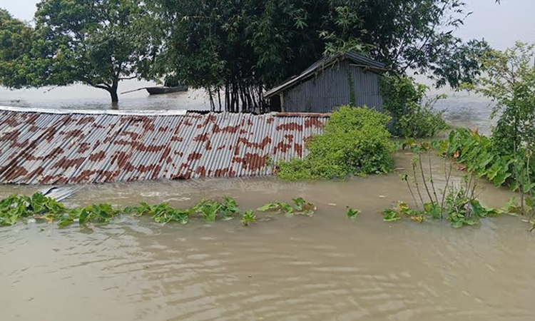 Padma water nears danger mark in Chapainawabganj, thousands isolated