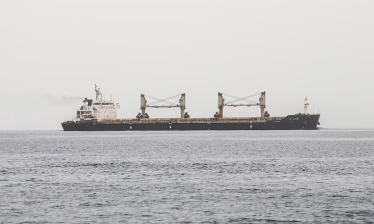 Yemen's Houthis take over strait vital to global shipping