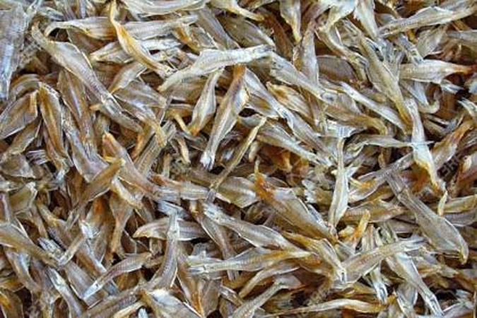 Opa bilan jinsiy aloqa qilish zorlashdir Porno xotinim sikildi