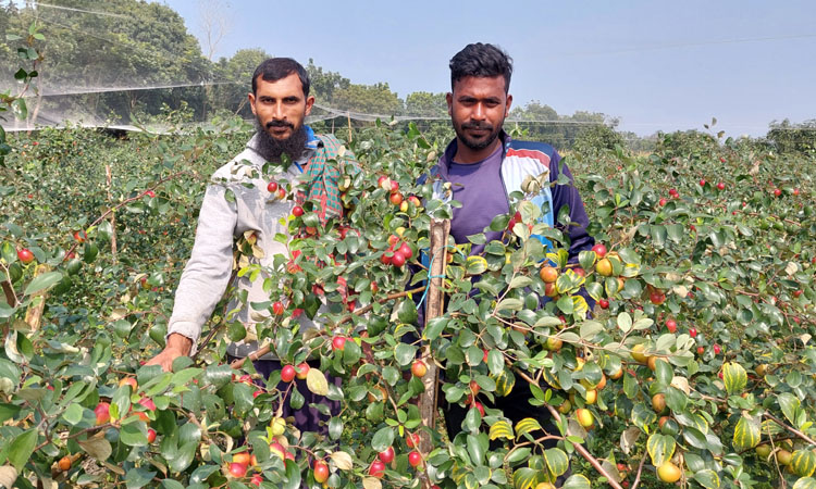 Meksikada dam olish porno rasmlar Oyinchoqlarning kesilgan jamlanmalari mushuk ichiga surilgan