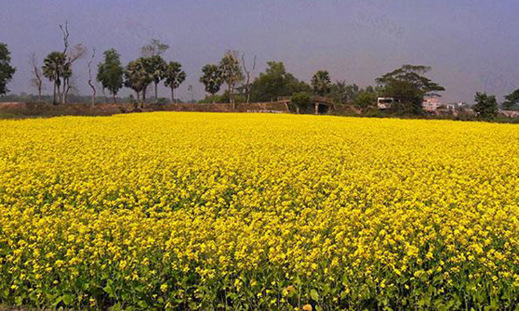 Xonanda Nyushaning erotik fotosuratlari Islandiyaning yalangoch qizlari