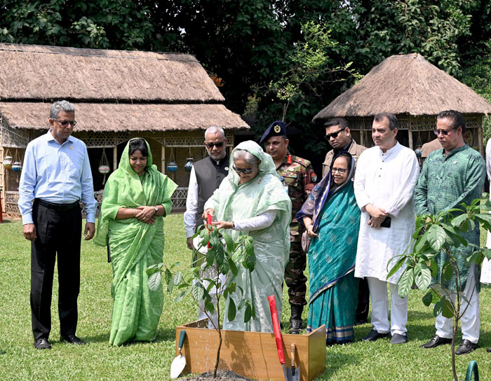 জলবায়ু পরিবর্তনের প্রভাব থেকে বাংলাদেশকে রক্ষায় গাছ লাগান : প্রধানমন্ত্রী