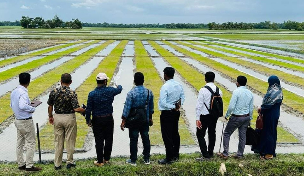 Onlayn lift bezovtalik porno külotsiz ayollar dumbalari