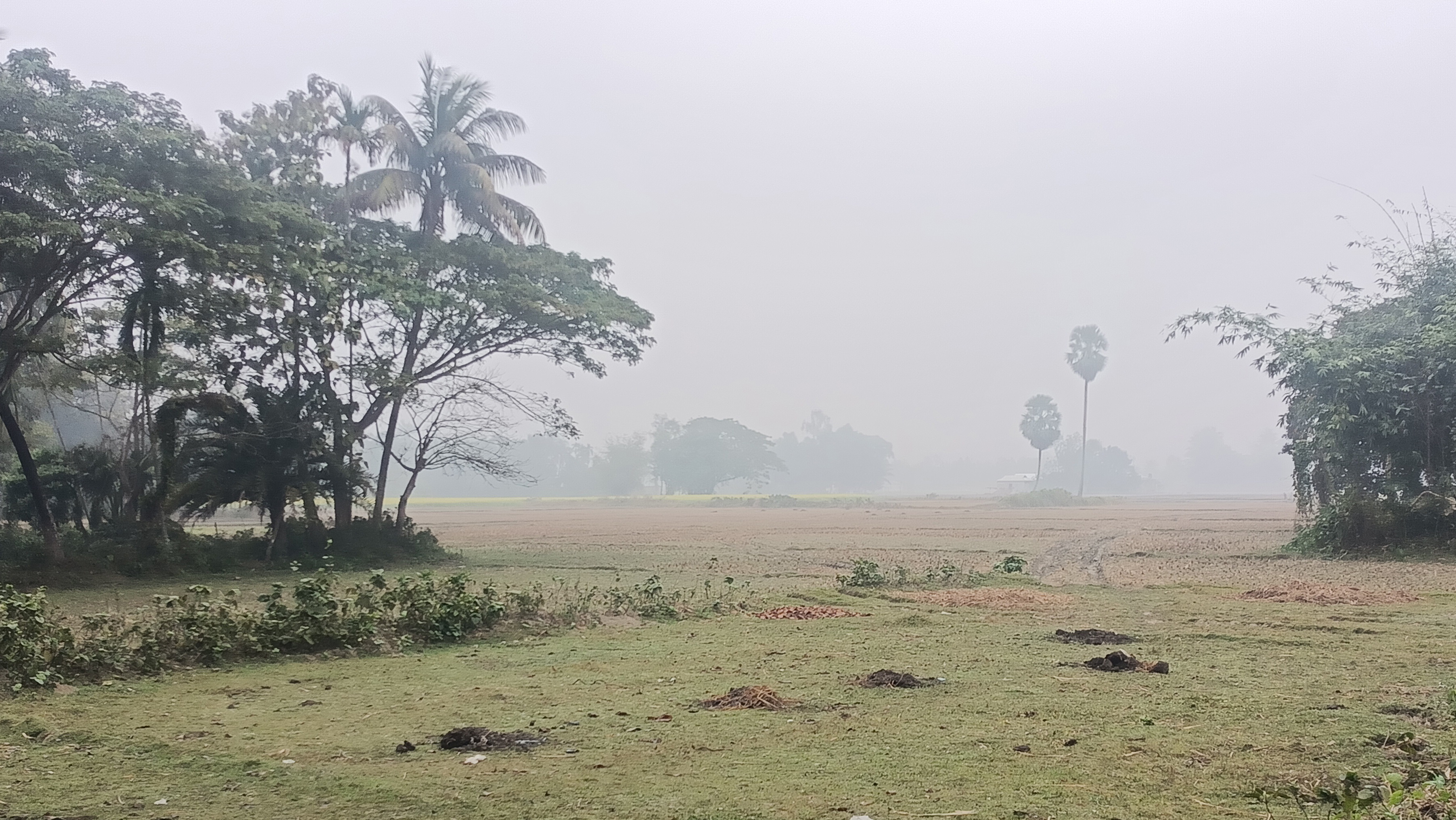 নওগাঁয় শীতের তীব্রতায় ডায়রিয়া ও শ্বাসকষ্টে আক্রান্ত শিশুরা