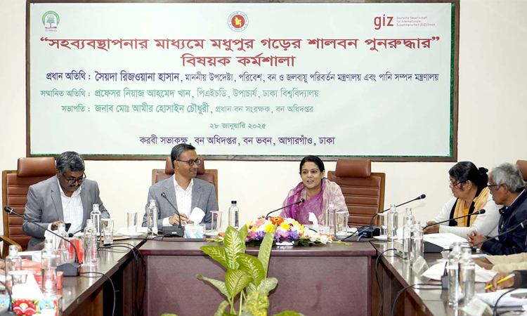 আগামী মার্চ মাস থেকে টাঙ্গাইলের শালবন উদ্ধার কার্যক্রম শুরু হবে: পরিবেশ উপদেষ্টা