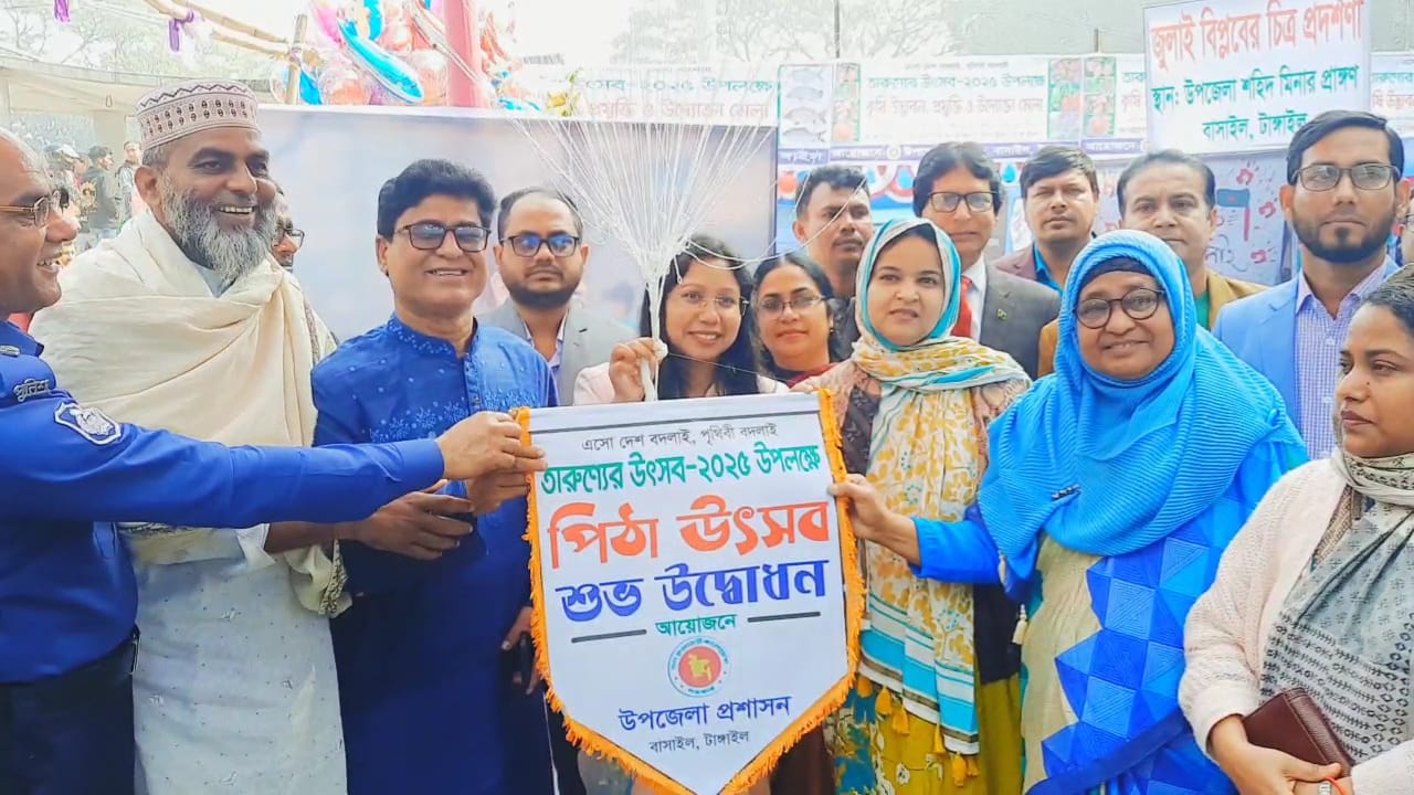 টাঙ্গাইলের বাসাইলে পিঠা উৎসব 