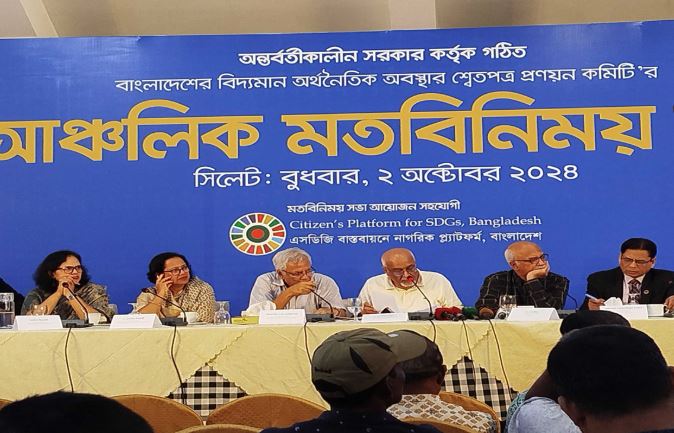 দীর্ঘমেয়াদি চিন্তা মাথায় রেখে সংস্কার করতে হবে : ড. এনামুল হক