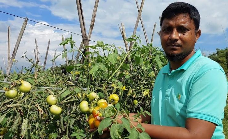নিজ এলাকার তরুণদের রোল মডেল হয়ে উঠেছেন কৃষি উদ্যোক্তা শাহ আলম