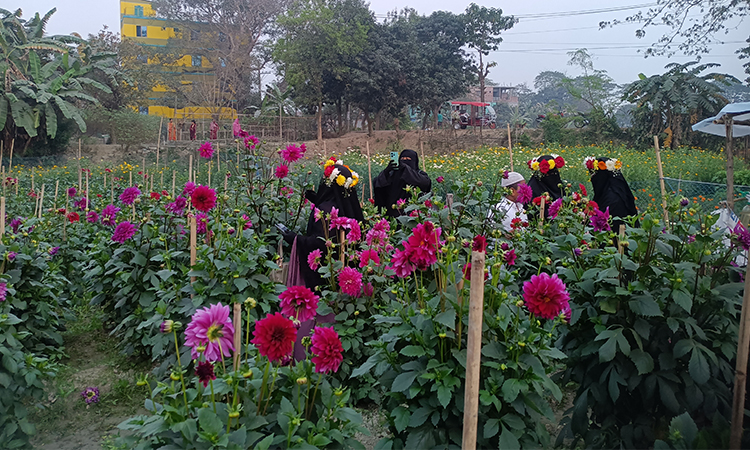 ফুলের রাজ্য সাবদি, ব্রহ্মপুত্র নদের তীরে দর্শনার্থীর ভিড়