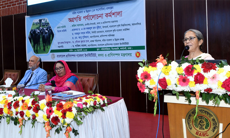 মহিষের দইকে জিআই পণ্য হিসেবে স্বীকৃতি প্রদানে কাজ করতে হবে: মৎস্য ও প্রাণিসম্পদ উপদেষ্টা