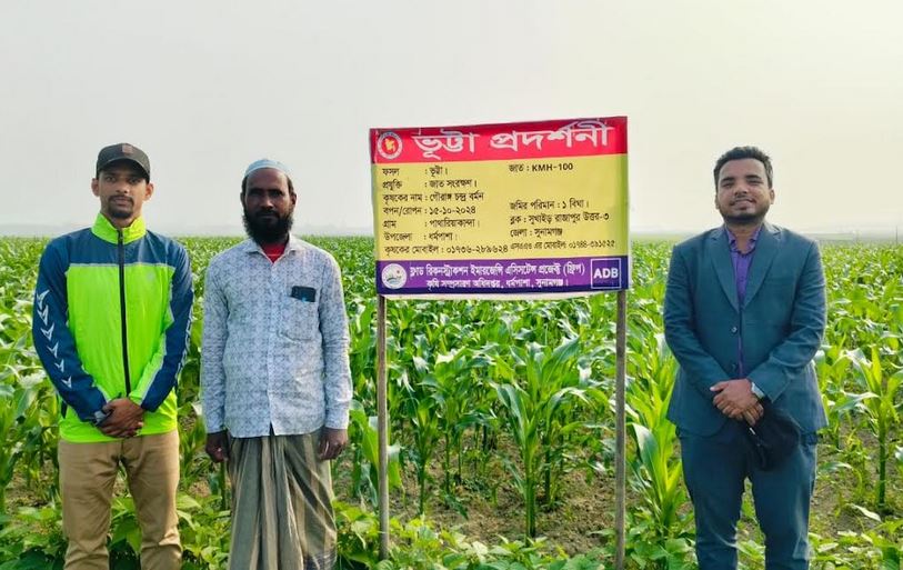 ভুট্টা চাষে আগ্রহ বেড়েছে সুনামগঞ্জের কৃষকদের