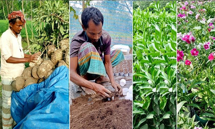 শিকারপাড়াকে স্বনির্ভর নার্সারি গ্রামে রূপান্তর তরুণ উদ্যোক্তা হবিবরের 