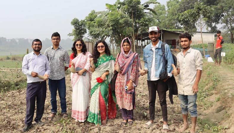 বাকৃবির গবেষণা: উচ্চ ফলনশীল বাউ মিষ্টি আলু-৫ এ নতুন সম্ভাবনা