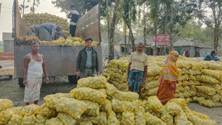 রংপুরের আলু বিদেশে রপ্তানি হচ্ছে 
