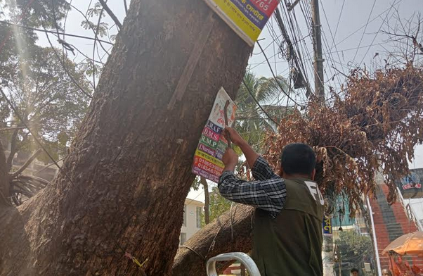 কক্সবাজারে গাছ সুরক্ষায় বন বিভাগের কর্মসূচি 