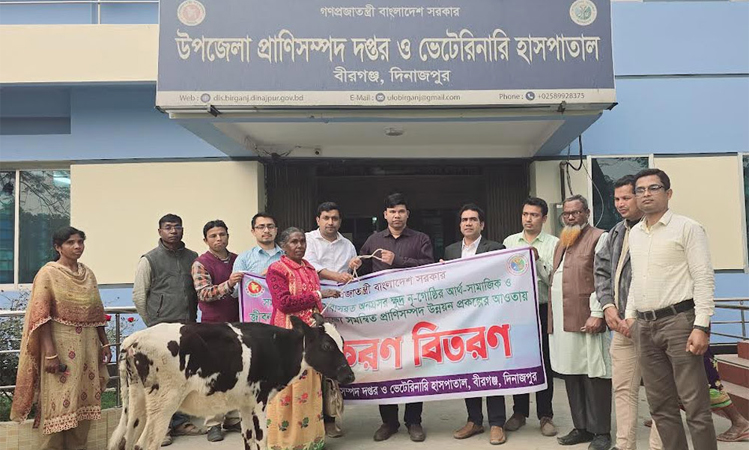 দিনাজপুর ক্ষুদ্র নৃ-গোষ্ঠীর ৭০ জনের মাঝে গরু বিতরণ