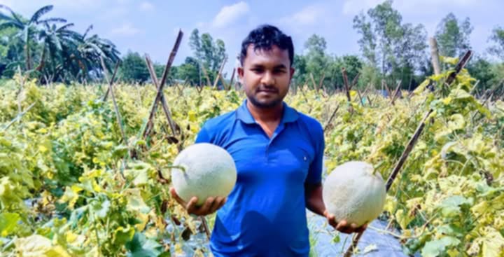 কৃষিতে সফল হয়েছেন শেরপুরের উদ্যোক্তা আনোয়ার