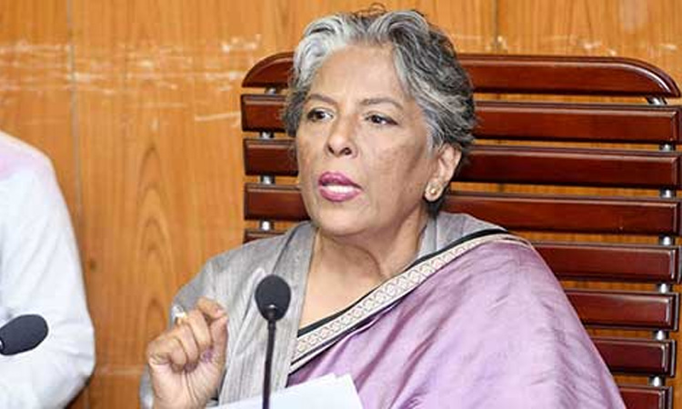 ছাত্র-জনতা ঐক্যবদ্ধ থাকায় নতুন বাংলাদেশের জন্ম হয়েছে : সমাজকল্যাণ উপদেষ্টা 