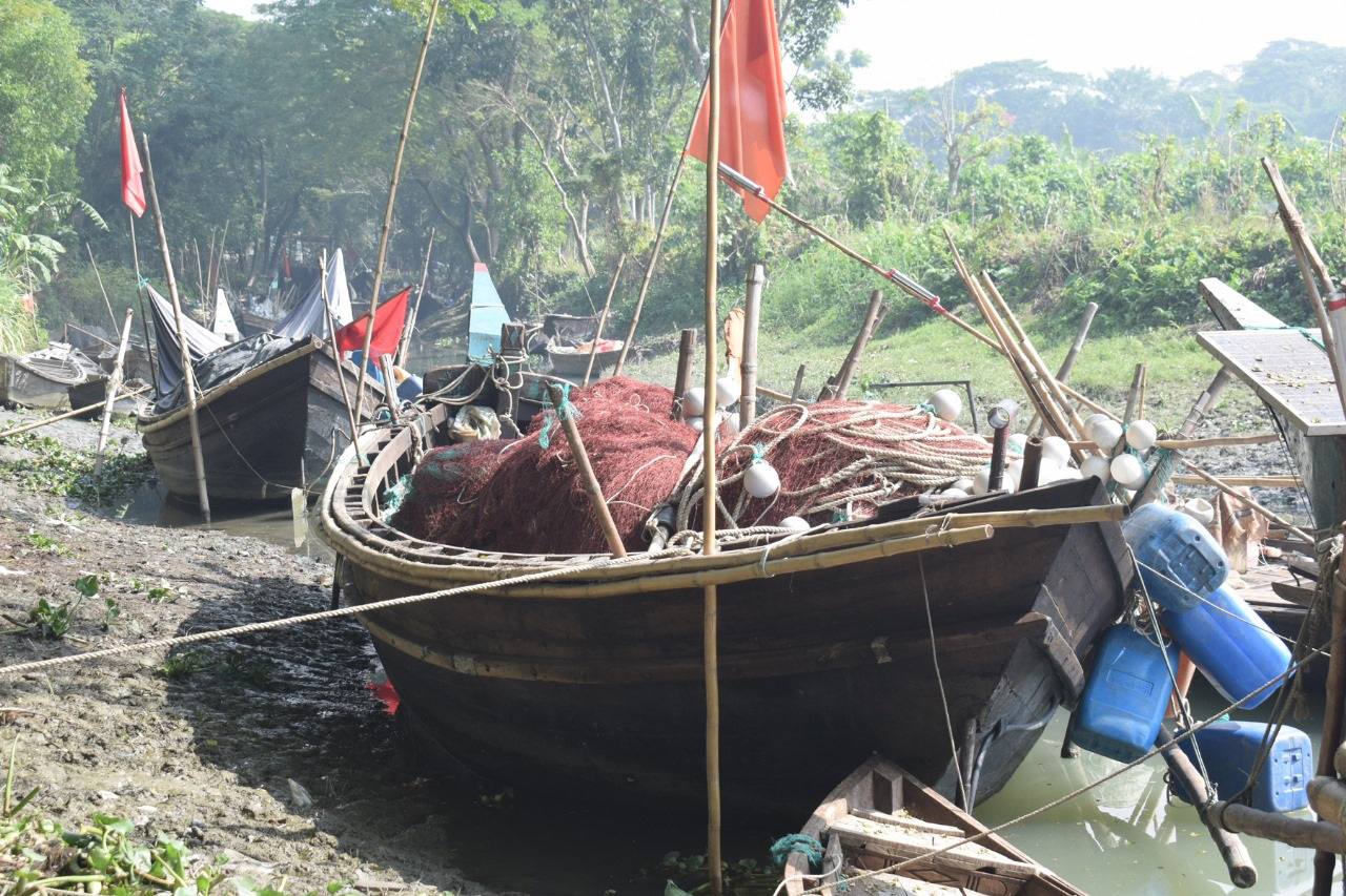 চাঁদপুরের পদ্মা-মেঘনায় আজ থেকে দুই মাস মাছ ধরায় নিষেধাজ্ঞা
