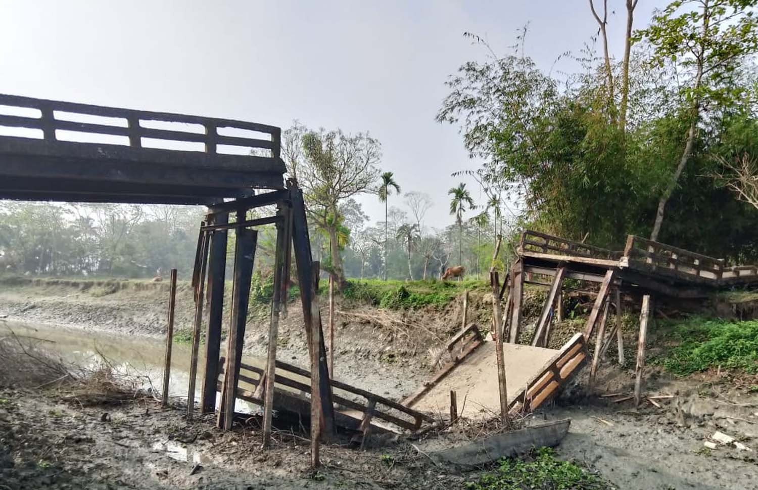 বরগুনায়  ৮মাসে ১০ সেতটিু ভেঙ্গে পড়েছে